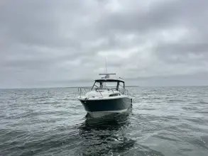 Thumbnail von Boston Whaler 325 Conquest