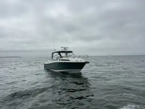 Thumbnail von Boston Whaler 325 Conquest