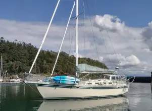 Cascade 42 PETREL