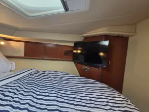 Thumbnail von Sea Ray 40 Sundancer