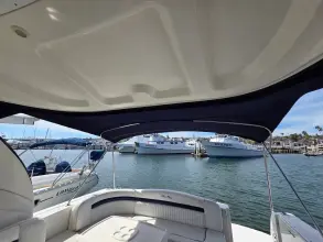Thumbnail von Sea Ray 40 Sundancer