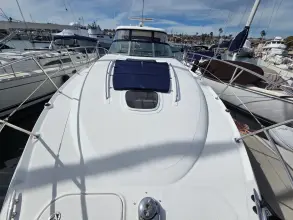 Thumbnail von Sea Ray 40 Sundancer