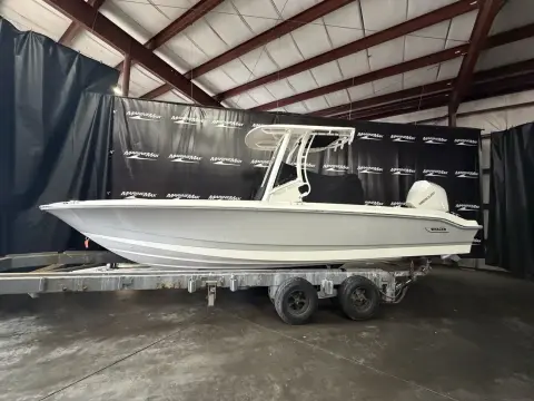 Boston Whaler 250 Dauntless