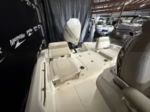 Thumbnail von Boston Whaler 250 Dauntless