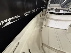Thumbnail von Boston Whaler 250 Dauntless