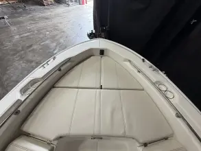 Thumbnail von Boston Whaler 250 Dauntless