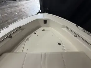 Thumbnail von Boston Whaler 250 Dauntless