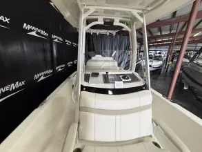 Thumbnail von Boston Whaler 250 Dauntless