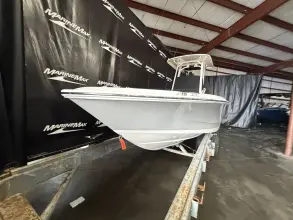 Thumbnail von Boston Whaler 250 Dauntless