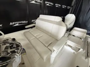 Thumbnail von Boston Whaler 250 Dauntless