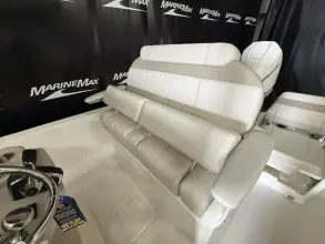 Thumbnail von Boston Whaler 250 Dauntless
