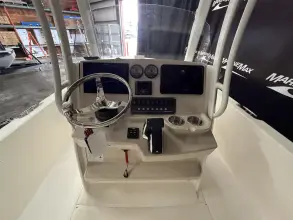 Thumbnail von Boston Whaler 250 Dauntless