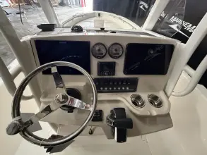 Thumbnail von Boston Whaler 250 Dauntless