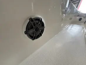 Thumbnail von Boston Whaler 250 Dauntless