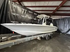 Thumbnail von Boston Whaler 250 Dauntless
