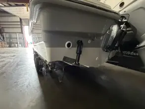 Thumbnail von Boston Whaler 250 Dauntless
