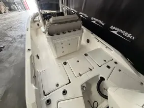 Thumbnail von Boston Whaler 250 Dauntless