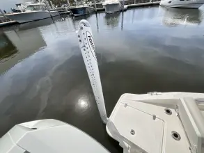 Thumbnail von Boston Whaler 250 Dauntless