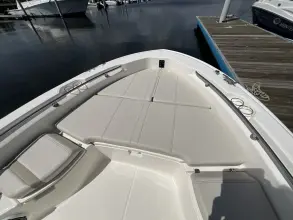 Thumbnail von Boston Whaler 250 Dauntless