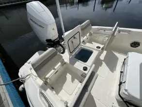 Thumbnail von Boston Whaler 250 Dauntless