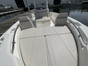 Thumbnail von Boston Whaler 250 Dauntless