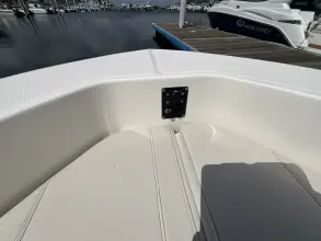 Thumbnail von Boston Whaler 250 Dauntless