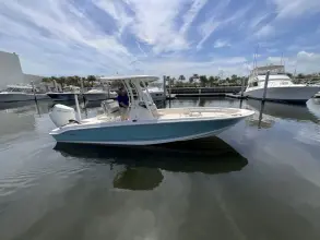 Thumbnail von Boston Whaler 250 Dauntless