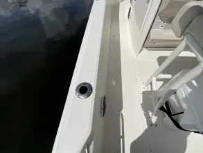 Thumbnail von Boston Whaler 250 Dauntless