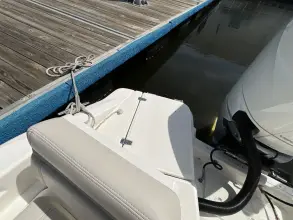 Thumbnail von Boston Whaler 250 Dauntless