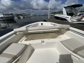 Thumbnail von Boston Whaler 250 Dauntless