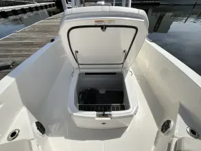 Thumbnail von Boston Whaler 250 Dauntless