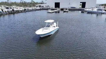 Thumbnail von Boston Whaler 250 Dauntless