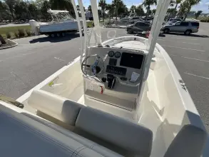 Thumbnail von Boston Whaler 250 Dauntless