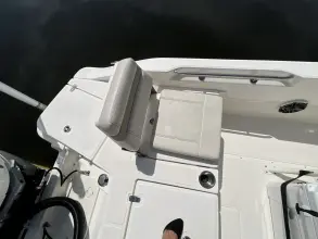 Thumbnail von Boston Whaler 250 Dauntless