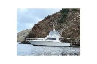Thumbnail von Tiara Yachts 4300 Convertible  Salsipuedes