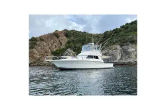 Thumbnail von Tiara Yachts 4300 Convertible  Salsipuedes