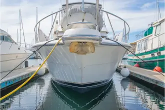 Thumbnail von Tiara Yachts 4300 Convertible  Salsipuedes