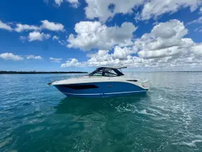 Sea Ray 320 Sundancer Outboard