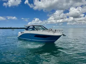 Thumbnail von Sea Ray 320 Sundancer Outboard