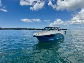 Thumbnail von Sea Ray 320 Sundancer Outboard
