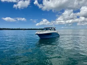 Thumbnail von Sea Ray 320 Sundancer Outboard