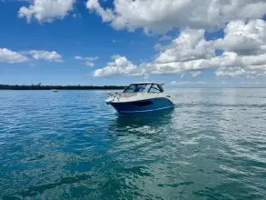 Thumbnail von Sea Ray 320 Sundancer Outboard