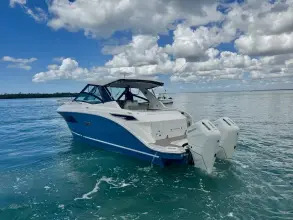 Thumbnail von Sea Ray 320 Sundancer Outboard