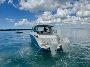 Thumbnail von Sea Ray 320 Sundancer Outboard