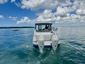 Thumbnail von Sea Ray 320 Sundancer Outboard