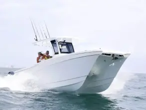 World Cat 280CC-X
