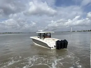 Thumbnail von Boston Whaler 380 Outrage