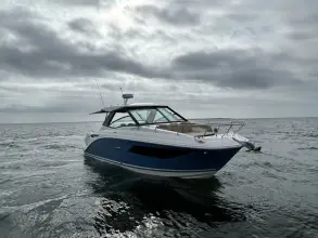 Thumbnail von Sea Ray 320 Sundancer Outboard