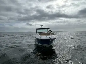 Thumbnail von Sea Ray 320 Sundancer Outboard