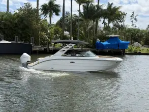 Sea Ray SDX 250 Outboard